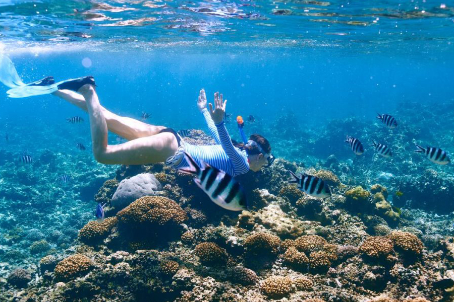 L’île de Koh Lan offrent des conditions idéales pour pratiquer le snorkeling