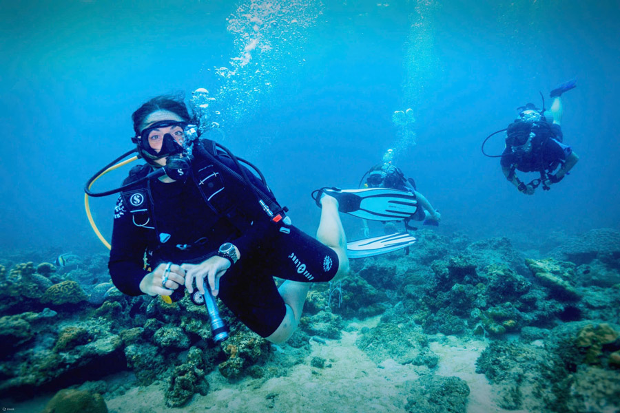 Plongée et snorkeling à Koh Lipe : découvrez un monde sous-marin exceptionnel