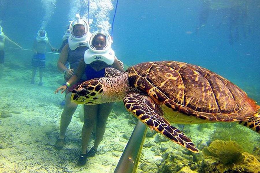 Les touristes expérimentent la plongée dans cet archipel double