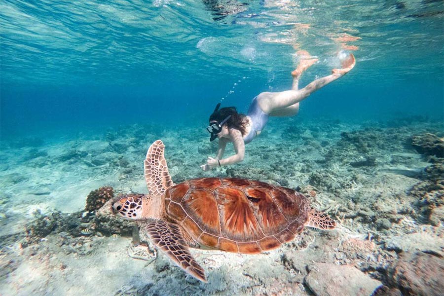 Plongez sous-marine à la plage de Kuta pour admirer l'écosystème extraordinaire