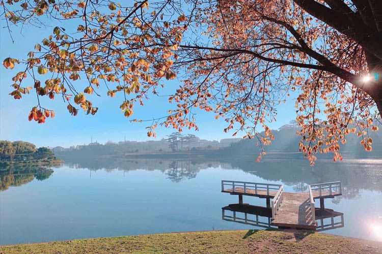 La beauté du lac Xuan Huong vous procure un sentiment de paix