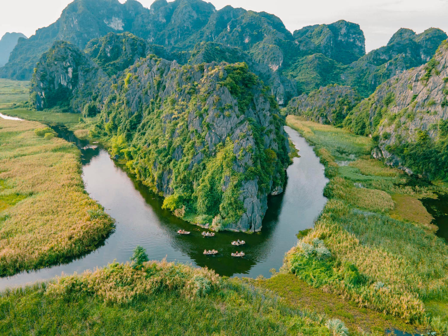 La beauté de la nature et de l'homme à la lagune de Van Long.