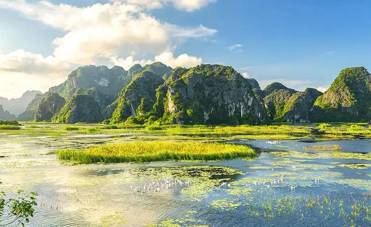 La beauté paisible de la lagune de Van Long