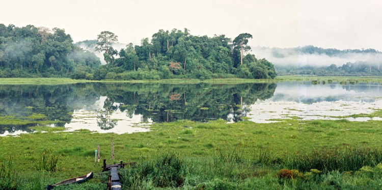 le Parc national de Cat Tien