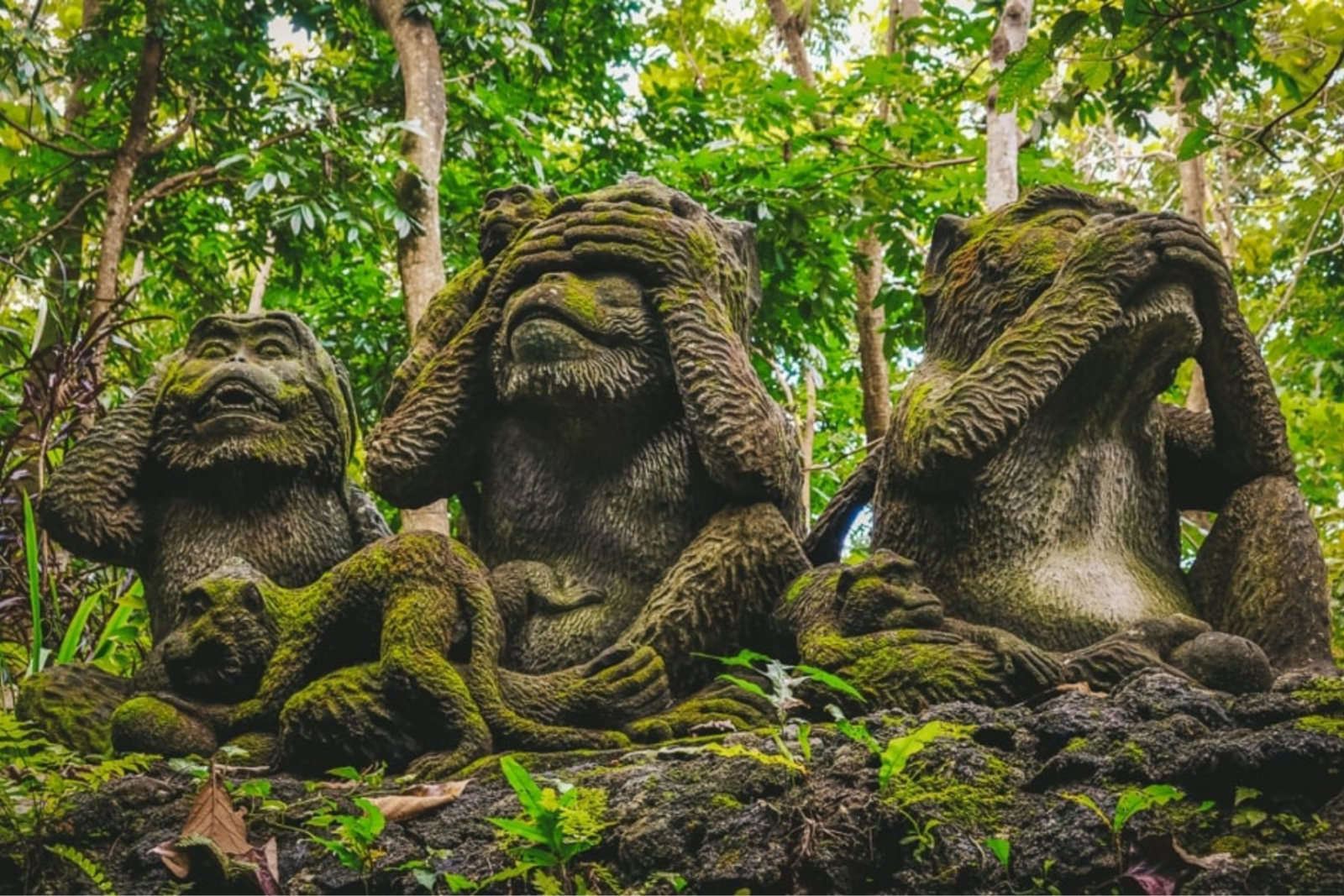 top 10 des meilleures attractions en asie du sud-est selon Tripadvisor
