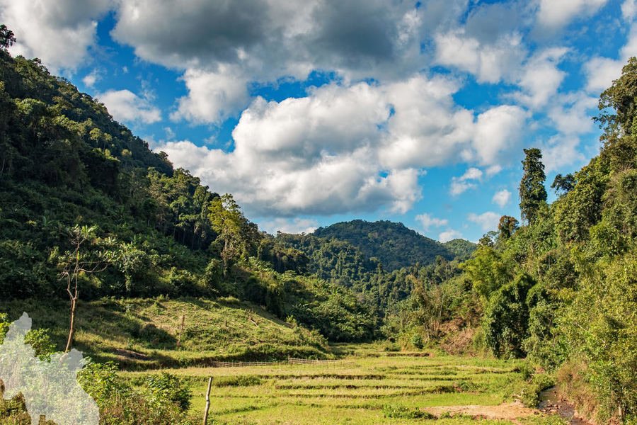Luang Namtha, un écrin de nature entre rizières et montagnes verdoyantes