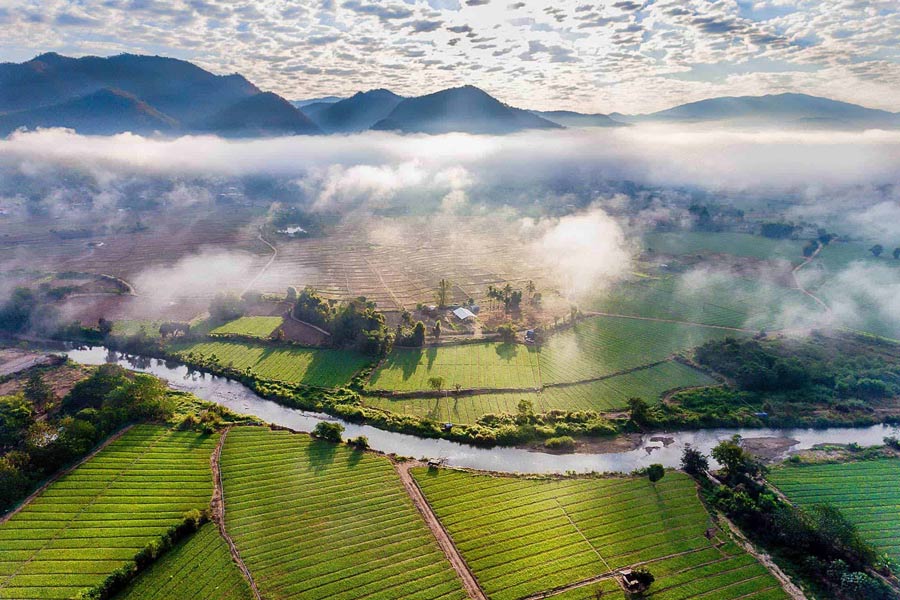 Plongez dans le calme et la simplicité des champs de Pai