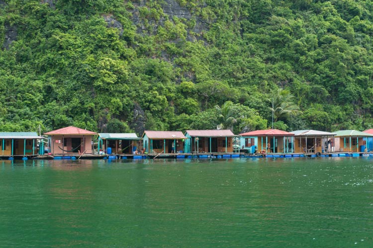 Les maisons flottantes au village de pêcheurs de Cua Van