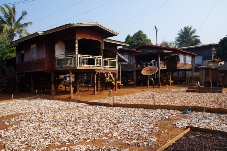 La maison sur pilotis au village de Kok Phung