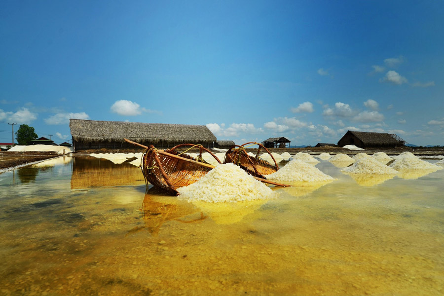 La vue magnifique des marais salants de Kampot