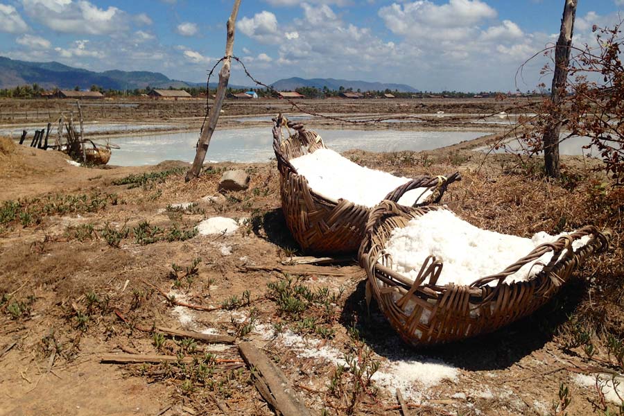 Les marais salants de Kampot à la meilleure période