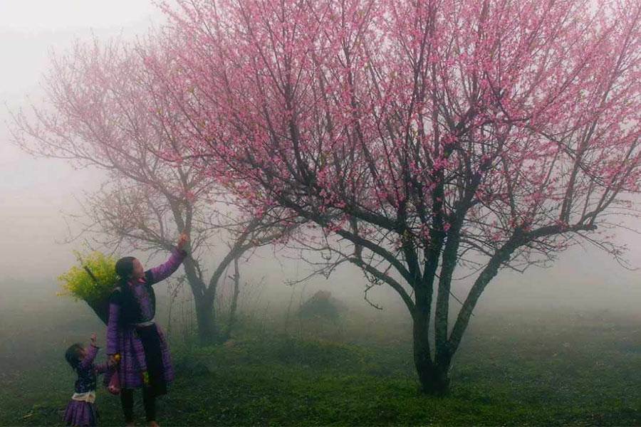 Sapa est l'une des meilleures destinations au Vietnam à visiter pendant le Têt