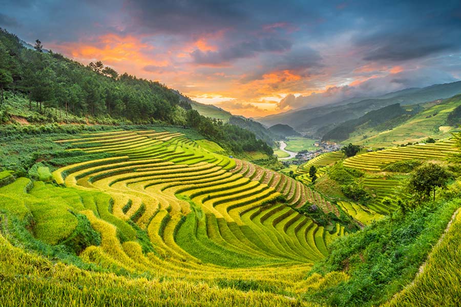 Rizières en terrasses de Mu Cang Chai est l’un des « visages représentatifs » de la beauté de ce chef-d’œuvre.