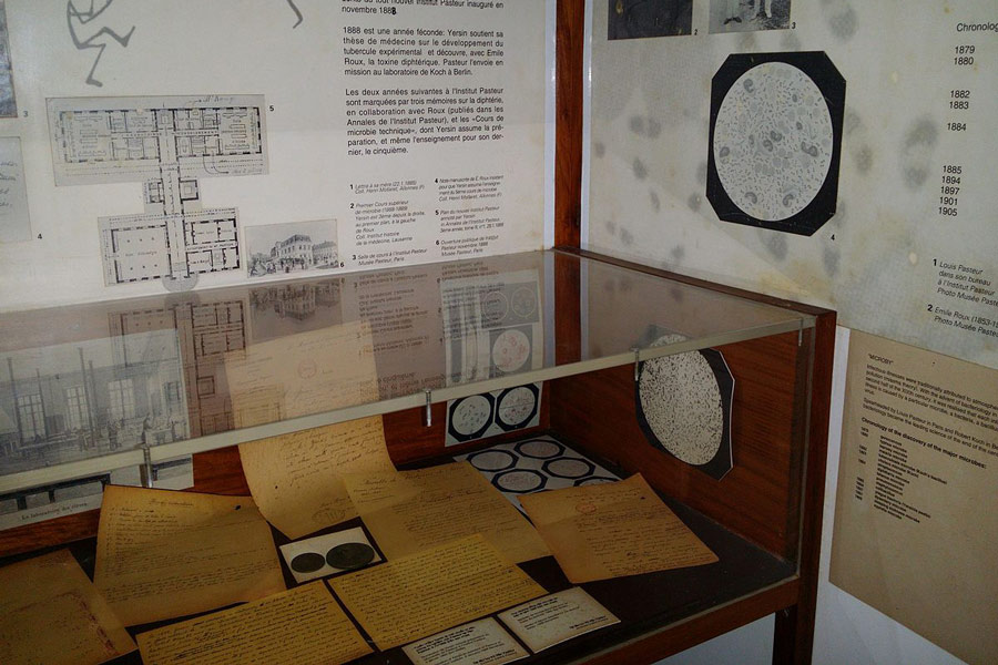 Musée d'Alexandre Yersin: Les artefacts 