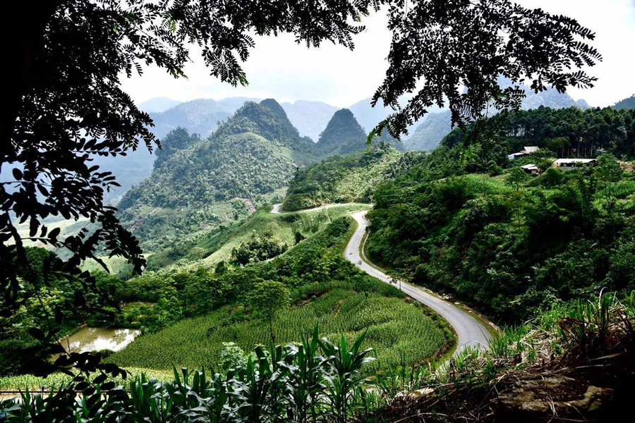 Exploration paisible à la réserve naturelle de Na Hau : un havre d'authenticité et de biodiversité préservée.