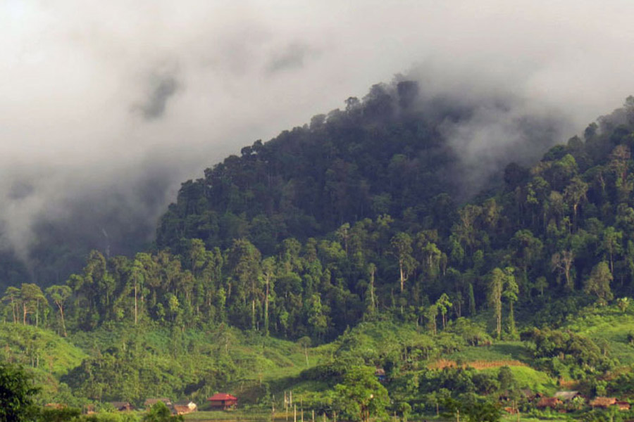 Biodiversité exceptionnelle à la Réserve naturelle de Na Hau : un sanctuaire de faune et flore rares