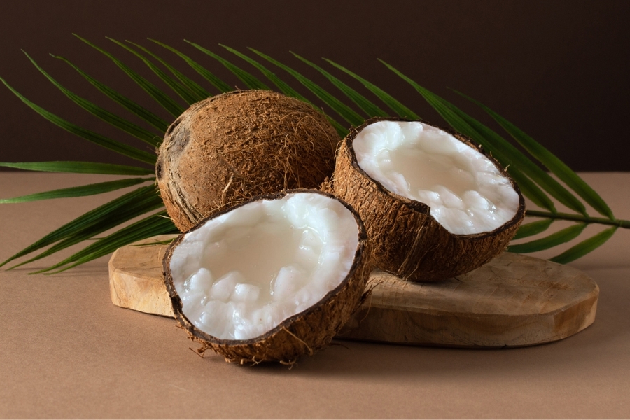 Dừa sáp est une variété de noix de coco rare