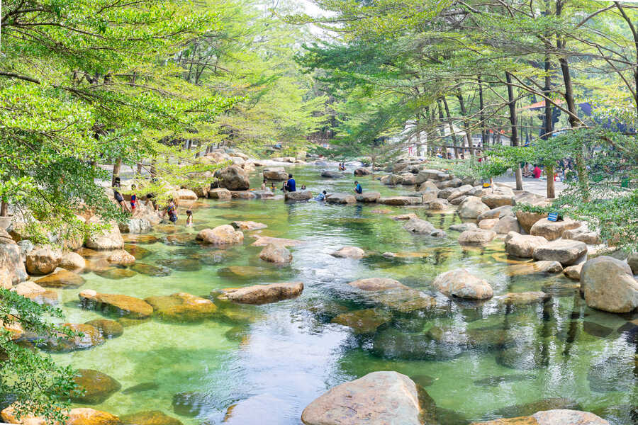 Parc écologique de Thuy Chau