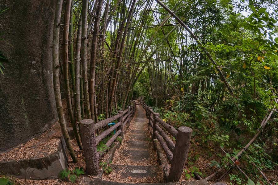 Parc forestier de Phu Pha Lom