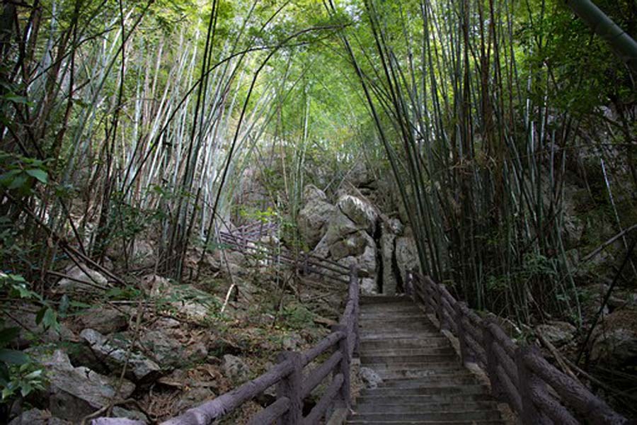 Parc forestier de Phu Pha Lom
