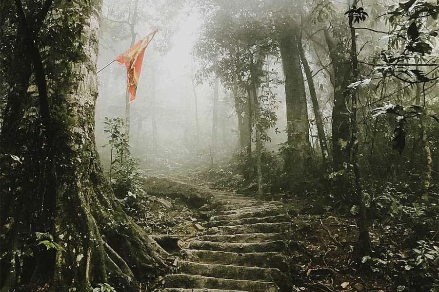 Trekking est une activité incontournable lors de visiter parc national de Ba Vi 