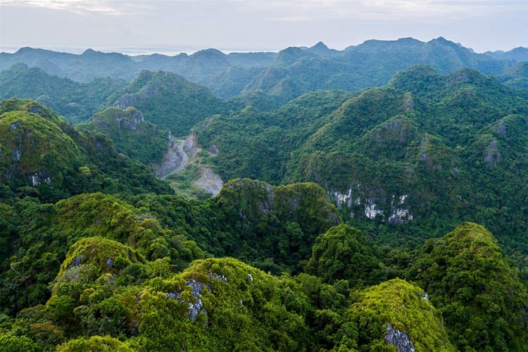 Au coeur de l'île du même nom, le parc national de Cat Ba est l'une des premières zones de conservation écologique du Vietnam