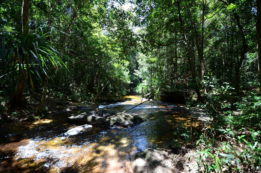 Parc national de Phu Quoc - cascades