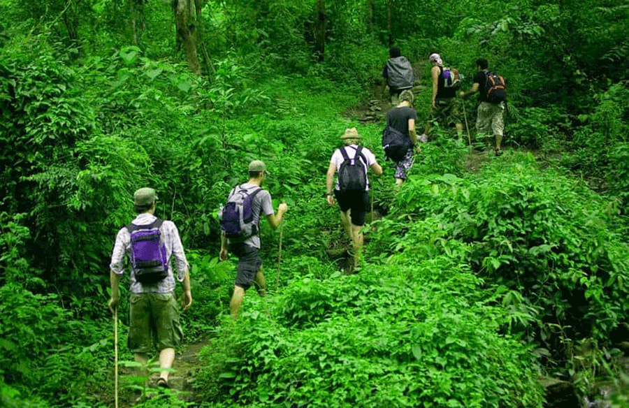Parc national de Phu Quoc - trekking