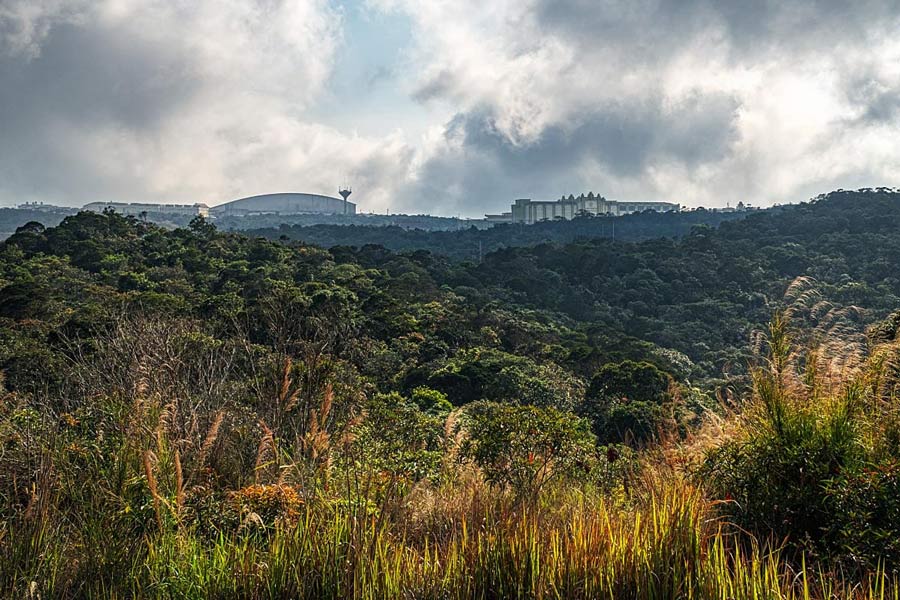 La nature exotique du parc national de Preah Monivong