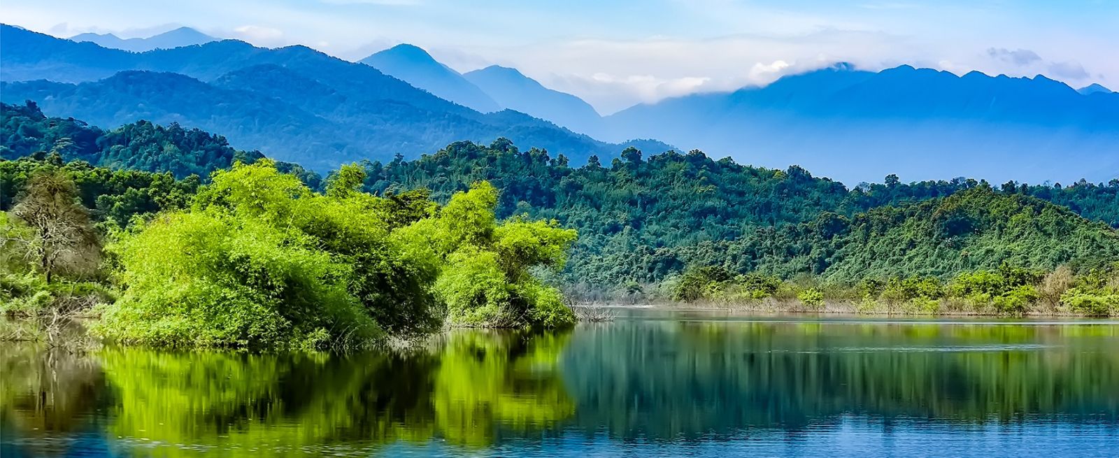 Le parc national de Vu Quang est reconnu comme jardin du patrimoine de l'ASEAN