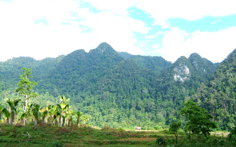 voyage du parc national de xuan son a phu tho au nord du vietnam