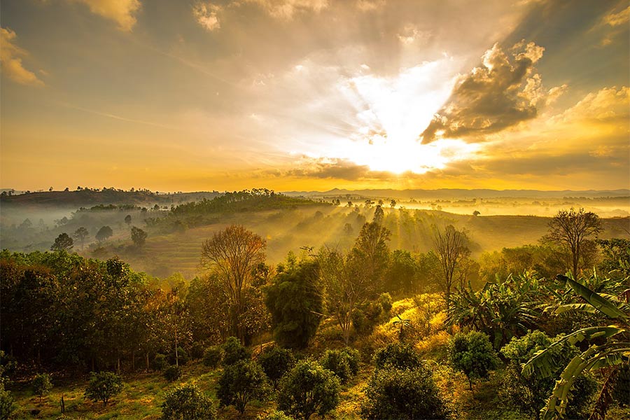 Parc national de Nam Nao à Phetchabun