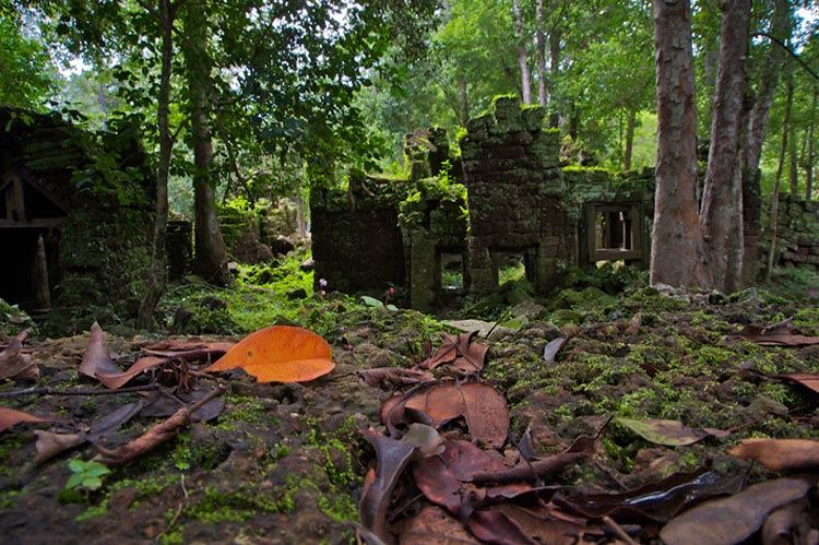 Il existe des anciennes constructions oubliées au Parc National de Phnom Kulen