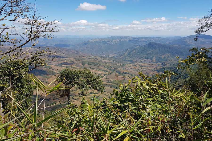 La vue depuis le sommet du parc national du mont Phu Ruea captivera tout le monde