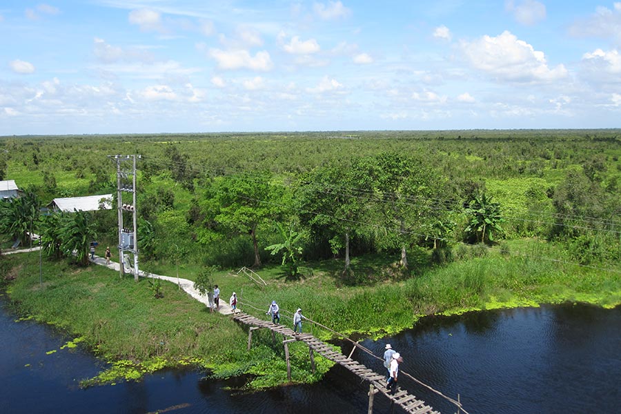 Le parc national U Minh Thuong