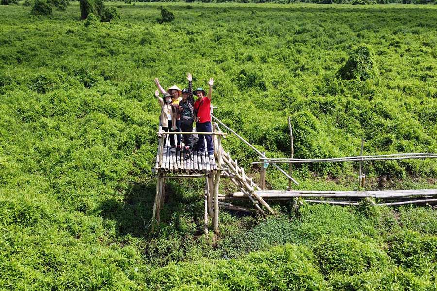 Plateforme d’observation au milieu de la forêt vierge au parc national U Minh Thuong