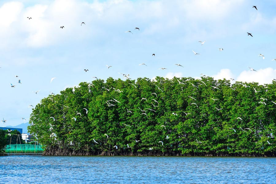 Parc ornithologique de Bac Liêu