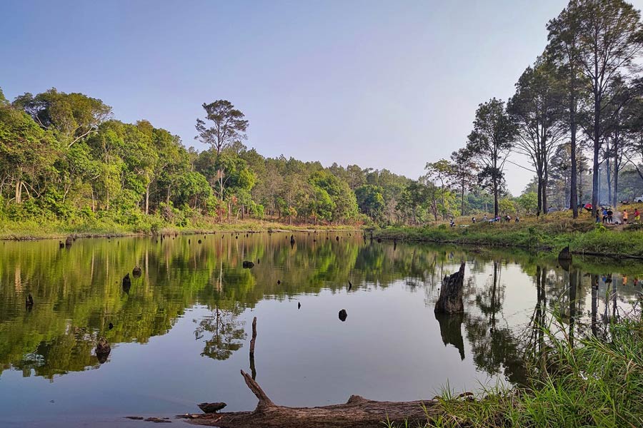 Top 7 des parcs nationaux au Cambodge pour les amoureux de la nature