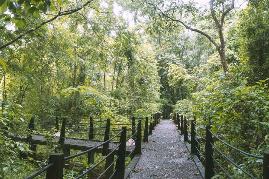 Parcs nationaux au Vietnam - Parc national de Cat Tien 