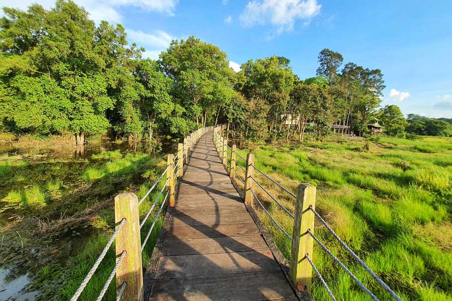 Parcs nationaux au Vietnam - Parc national de Cat Tien -Bau Sau