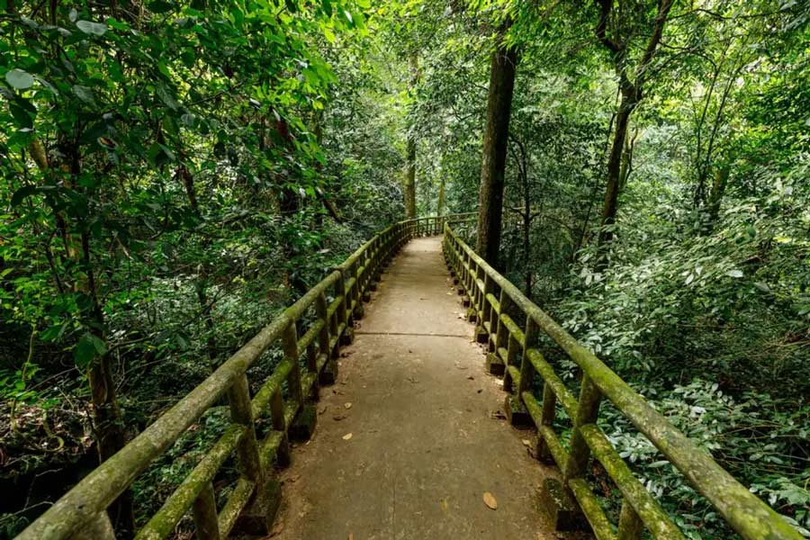 Parcs nationaux au Vietnam - parc national de Cuc Phuong 