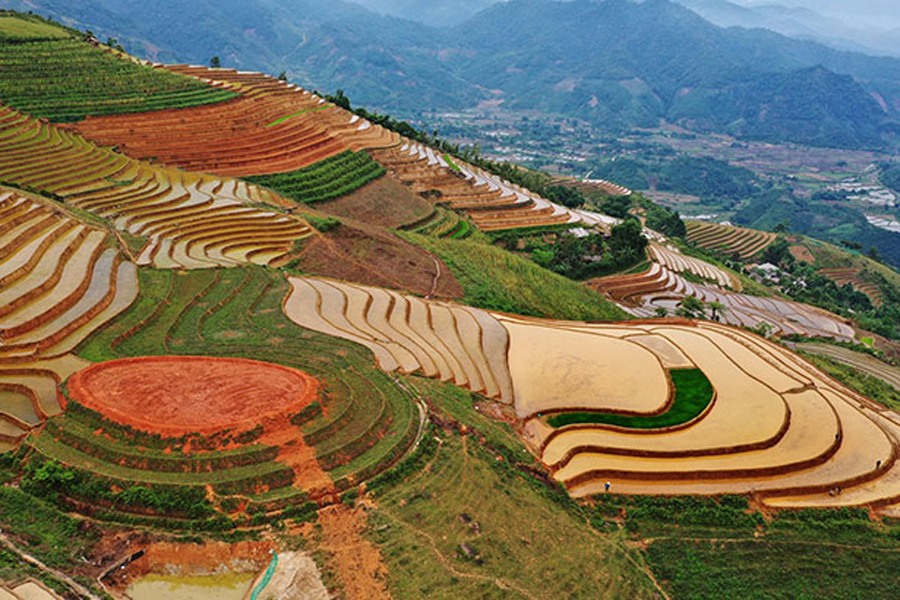 Les rizières en gradins de Phong Du Thuong