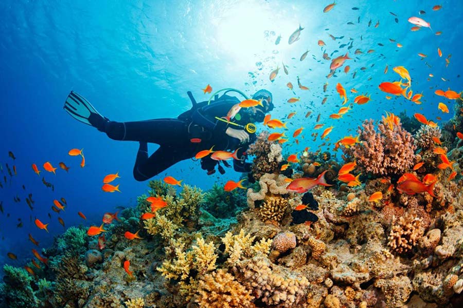 Phu Quoc ou Con Dao