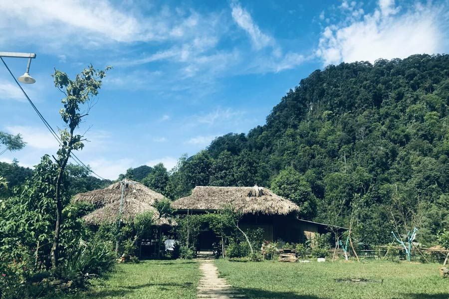 Le parc national de Xuan Son à Phu Tho 