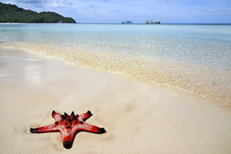 La plage d'étoiles de mer à Phu Quoc