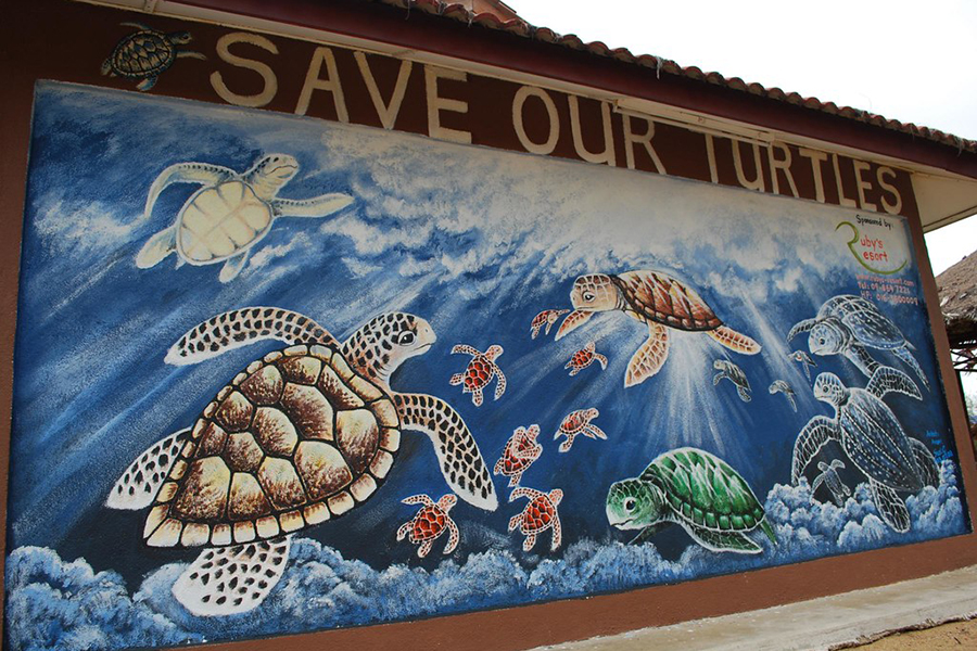 Centre de Conservation des Tortues à Cherating