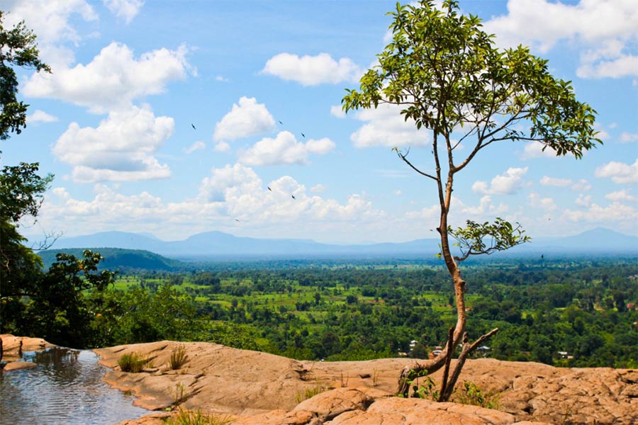 Paysage panoramique du plateau Bolaven