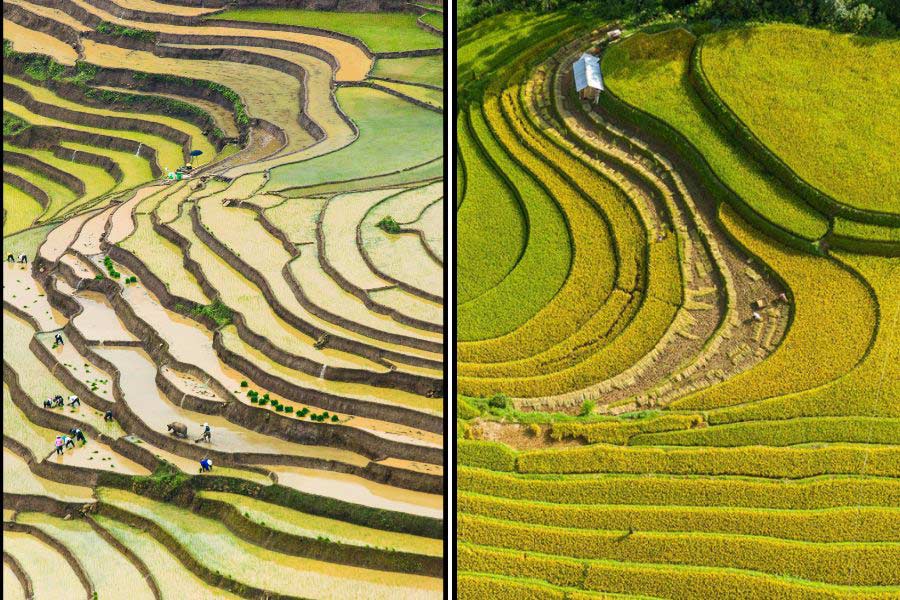 Pourquoi voyager au Vietnam - Diversité climatique du Vietnam