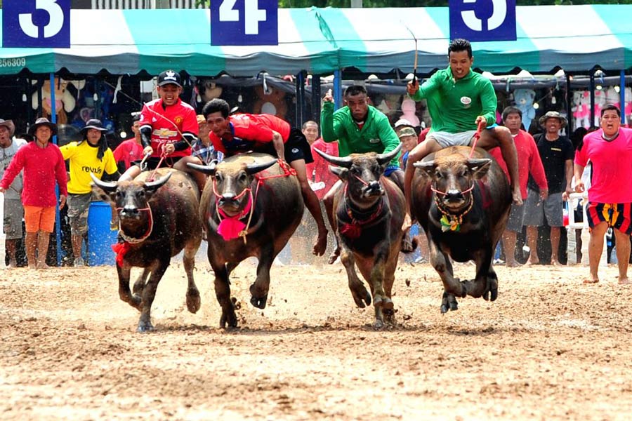 Que faire en Thaïlande en mars