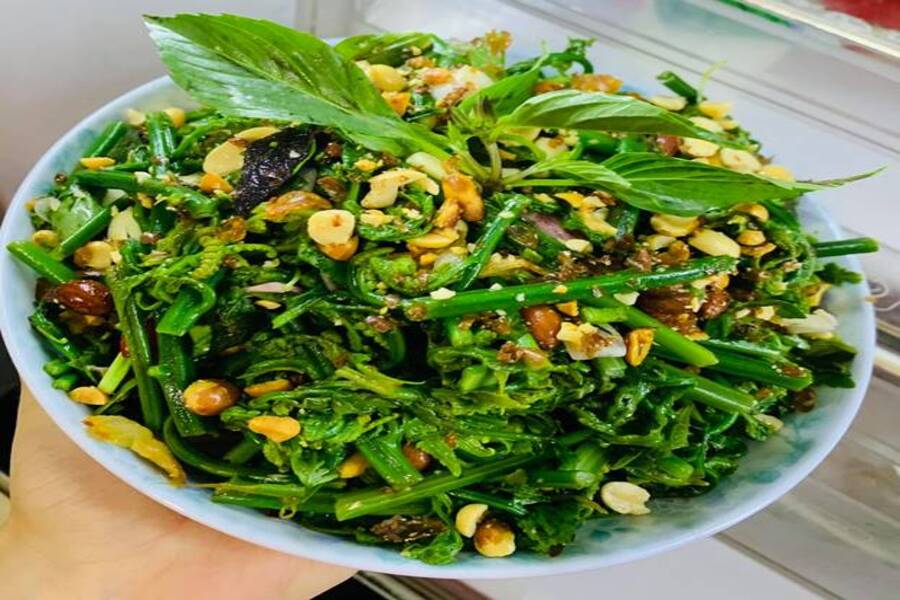 Que manger à Pu Luong - Salade de légumes forestiers